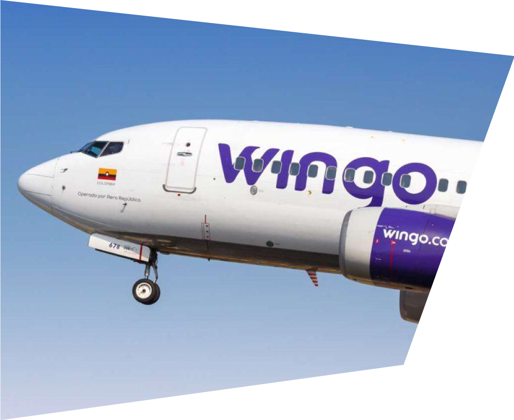 Wingo
